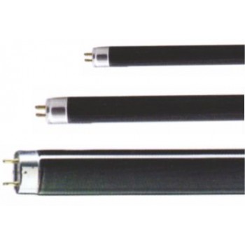 BLB Floresant Ampuller
