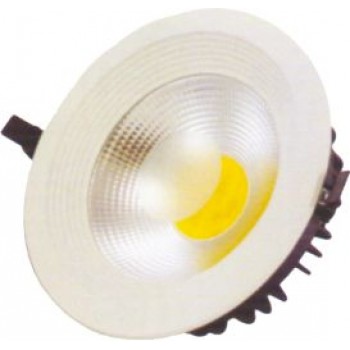 30W COB Downlight